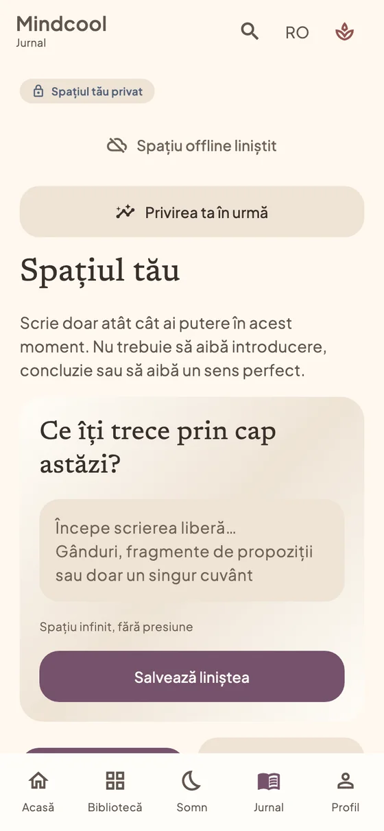 Jurnal: de la gând la notiță
